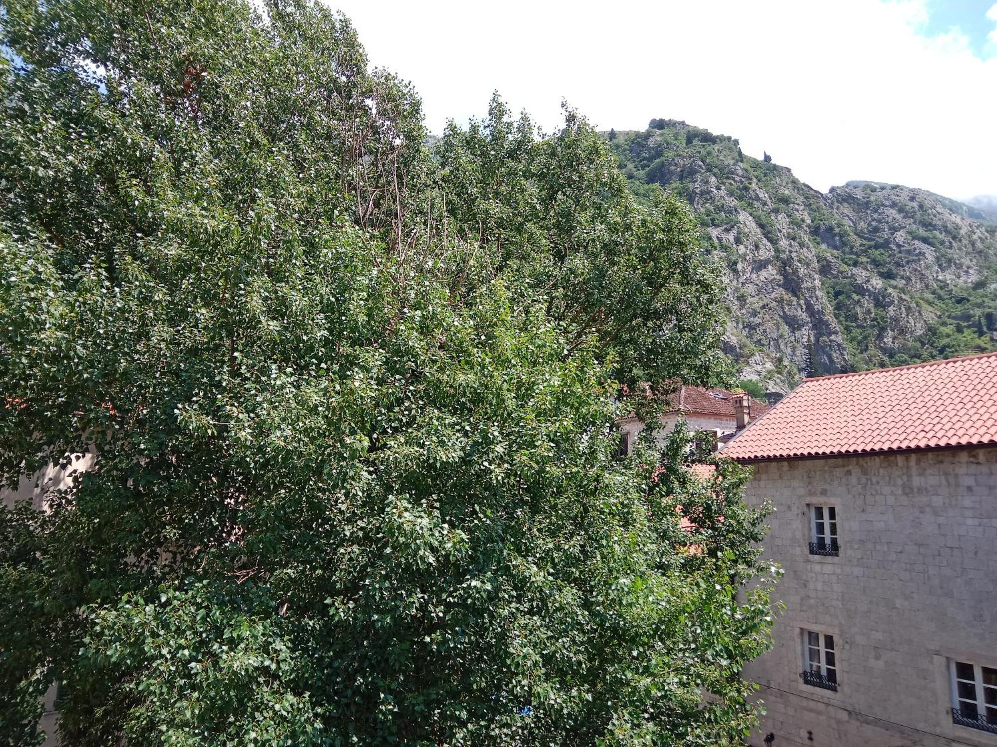 Centar Starog Grada Apartment Kotor Luaran gambar