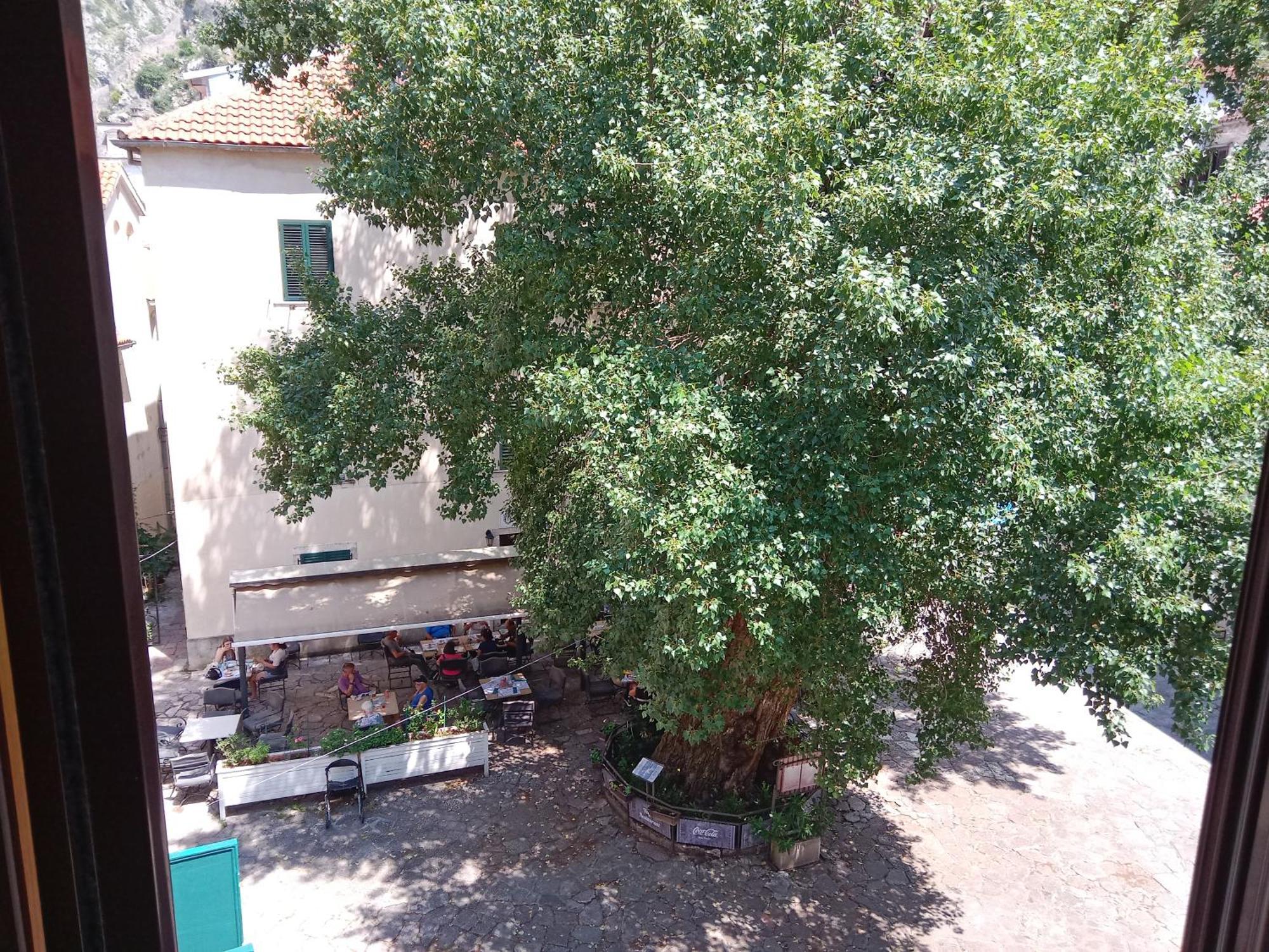 Centar Starog Grada Apartment Kotor Luaran gambar